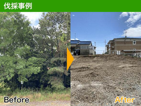 伐採事例 Before After