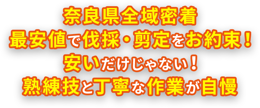 奈良県全域密着 最安値で伐採・剪定をお約束！安いだけじゃない！熟練技と丁寧な作業が自慢